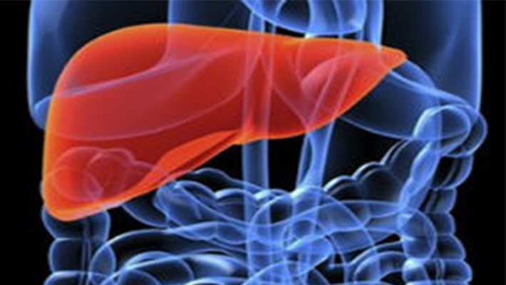 New £1m plan to improve liver disease services in Wales liver