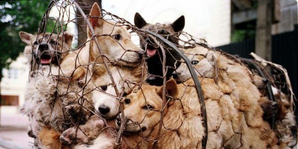 206893 1435069429 wide 206893 1435069429 wide