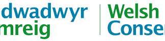 1 in 10 Welsh school pupils have below average reading ability Welsh Conservatives