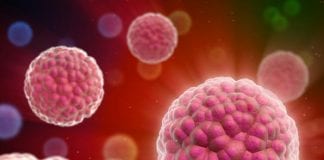 New pilot targets early cancer diagnosis Cancer cells