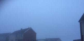 Seasonal affective disorder (SAD) do you have it? Fog