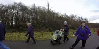 Apr to Jun 2017 Wildlife Walks maxresdefault