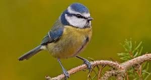 May Events… imagesMZDMQCUO