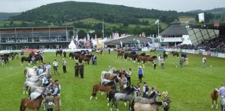 Royal Welsh Agricultural Society Chief Executive Challenge Royal welsh Show