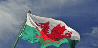 OPPORTUNITY – TV COMPANY CASTING WELSH PARENTS FOR NEW TV EXPERIMENT welsh flag