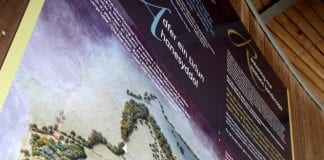 Archaeology Festival Day – Gŵyl Archaeoleg NBGW