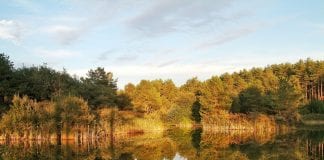 Pembrey Country Park to host one of first post-lockdown even Pembrey Country Park