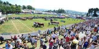 Winner announced for the RWAS Dr Emrys Evans Award Royal Welsh