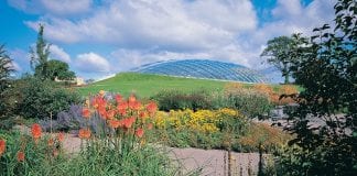 August Bank Holiday fun – Hwyl yr Ŵyl Banc Botanic Gardens