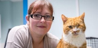 THOUSANDS OF WELSH CATS AT RISK OF POTENTIALLY FATAL DISEASES imgID47927301.jpg.gallery
