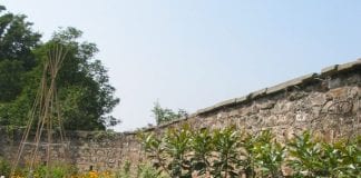 Help make a big difference at Margam Country Park! / Sut i wneud gwahaniaeth mawr ym Mharc Gwledig Margam! Margam General Grounds Unknown 19