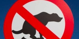 Escaped dog owner fined for fouling offence dog fouling