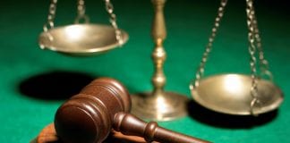 Carmarthenshire County Council Secures Conviction Against Unlicensed Dog Breeder justice