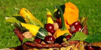 Half Term fun and games – Hwyl Hanner Tymor yr Hydref 1