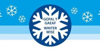Hywel Dda urges patients to be Winter Wise this season / Mae Hywel Dda yn annog cleifion i gymryd gofal y gaeaf hwn Winter Wise A6 Banner for WEB