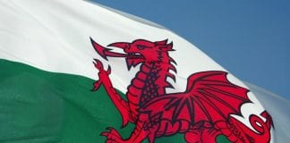 Wales Co-operative Centre moves to new S4C building in Carmarthen Welsh flag