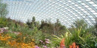 Mae yna atyniad newydd sbon ar gyfer ymwelwyr yn Sir Gaerfyrddin garden