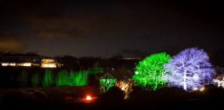 Winter Wonderland/Gŵyl y Gaeaf BG at Xamas 5