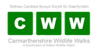 Important – Please Reply – New Data Protection Rules Carmarthenshire Wildlife Walks