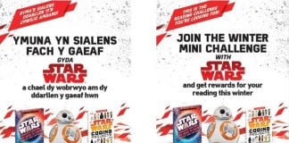 Sialens Fach y Gaeaf / Winter Mini Challenge Mini Challenge