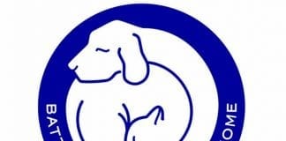 MY NAMETAGS HUNT FOR PERFECT MATCH FOR BATTERSEA’S LONGEST STANDING RESIDENTS BEGINS GN4 DAT 2809650.jpg