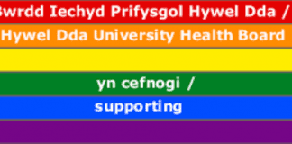 Hywel Dda appoints two new Locality Leads for key areas of Carmarthenshire and Pembrokeshire / Hywel Dda yn penodi dau Arweinydd Ardal i ardaloedd allweddol yn Sir Gaerfyrddin a Sir Benfro Hywel Dda