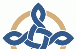 Curing the Hospital Choir Hywel Dda e1578399478359