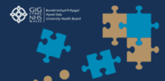 Mental health services transformation gets the ‘go ahead’ Screen Shot 2018 01 12 at 11 46 27 210x300
