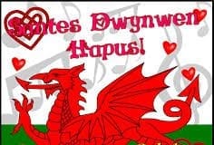 Celebrate St Dwynwen’s Day with a few Welsh words download 3