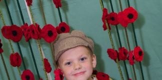 Appeal brings 40,000 poppies piling in Curtain of Poppies