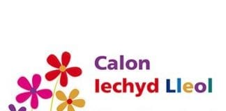 Dyfed Powys Local Resilience Forum statement on adverse weather Lc5H10CW 400x400