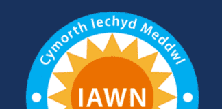 New local mental health website launches/Gwefan newydd iechyd meddwl yn lansio Logo New Hywel Dda mental health website