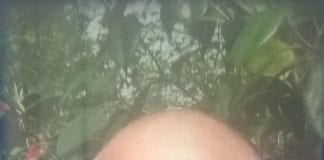 Local Artist’s Work Donated to Llanelli LGBT Support Group WP 20180304 12 08 01 Pro 1