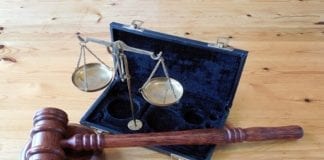 Farmer moved cows illegally law courts newsroom