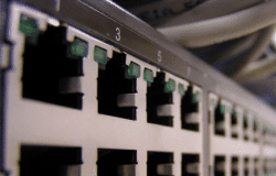 Slimming World Awards network 250x250