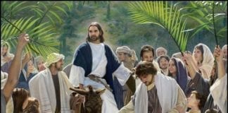 THOUGHT FOR THE WEEK triumphal entry zoom