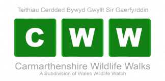 May Events… carmarthenshire Wildife Walks
