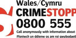 Crimestoppers looks to ‘Cut the chance of being hurt by knife crime’ with new campaign in South Wales Crime Stoppers Wales Logo