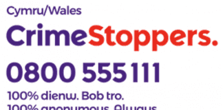Elusen yn gofyn i gymunedau chwalu mur tawelwch ynghylch trais crime stoppers