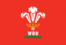 Liam Williams has confirmed his retirement from international rugby. wru social share 600x300