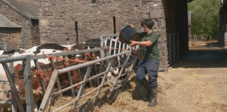 Diary Marker: Dyddiad i’r Dyddiadur/ The responsible use of antibiotics in dairy herds – why?/Defnydd cyfrifol o wrthfiotigau mewn buchesi llaeth- pam? Dairy Farmer Abi
