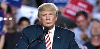 Thought for the Week Donald Trump 2