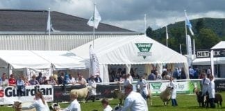 Thought for the Week – 25th July Royal Welsh 2