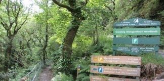 Don’t touch the hedge till they fledge,’ argues Joyce woodlands