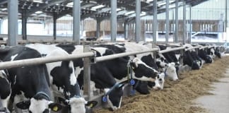 FARMING NEWS – Improving the future of pasture-based livestock systems farming 1