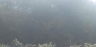 When Cwm Met Town – By Poet Peter Davies received 1265209223620449