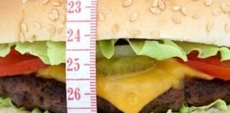 Ten Reasons You May Not Be Losing Weight – By West Wales Chronicle Columnist Jamie Stedman received 280232986143870