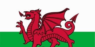 Government reviews school delay for summer-born pupils in Wales welsh flag