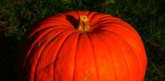 HOW FAR CAN YOU LEGALLY GO TO STOP SOMEONE FROM PLAYING A TRICK ON YOU THIS HALLOWEEN? LogoLicious 20181029 155457