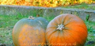 A LLANELLI HALLOWEEN LogoLicious 20181029 155548